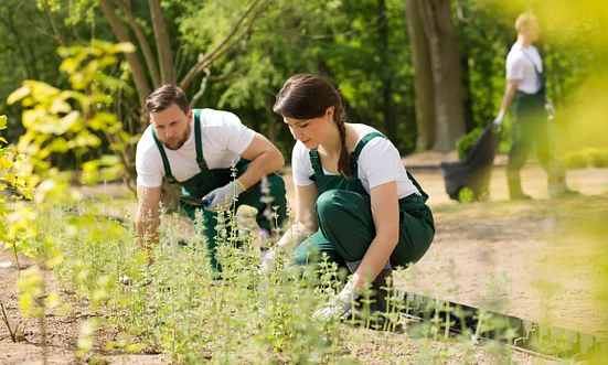 Projektleiter / Vorarbeiter GaLaBau (w/m/d)